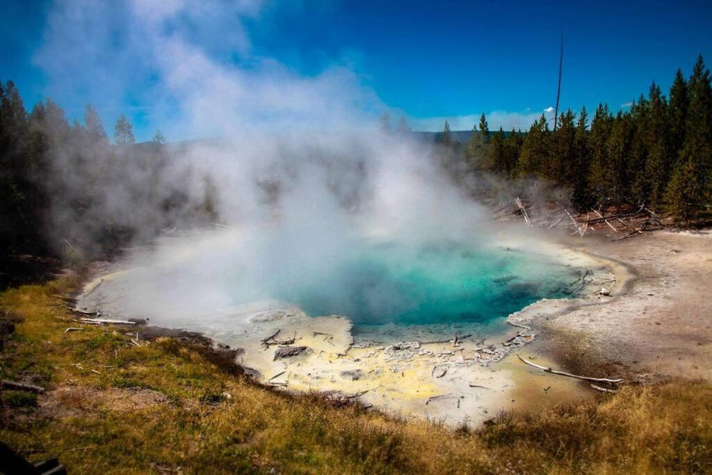 White Owl Retreat Yellowstone Grand Teton آيلاند بارك المظهر الخارجي الصورة